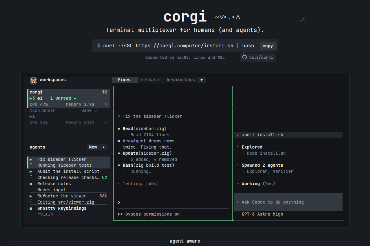 Corgi screenshot