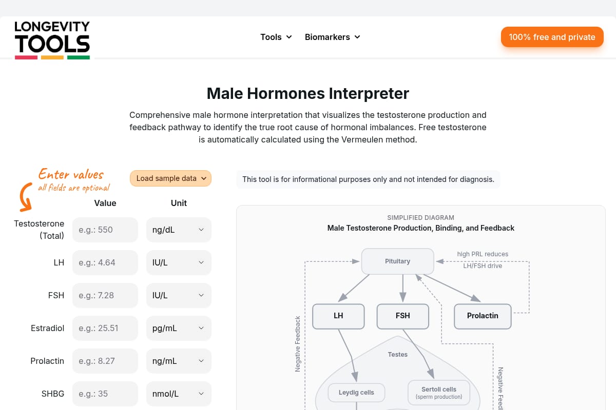 Male Hormones Interpreter thumbnail